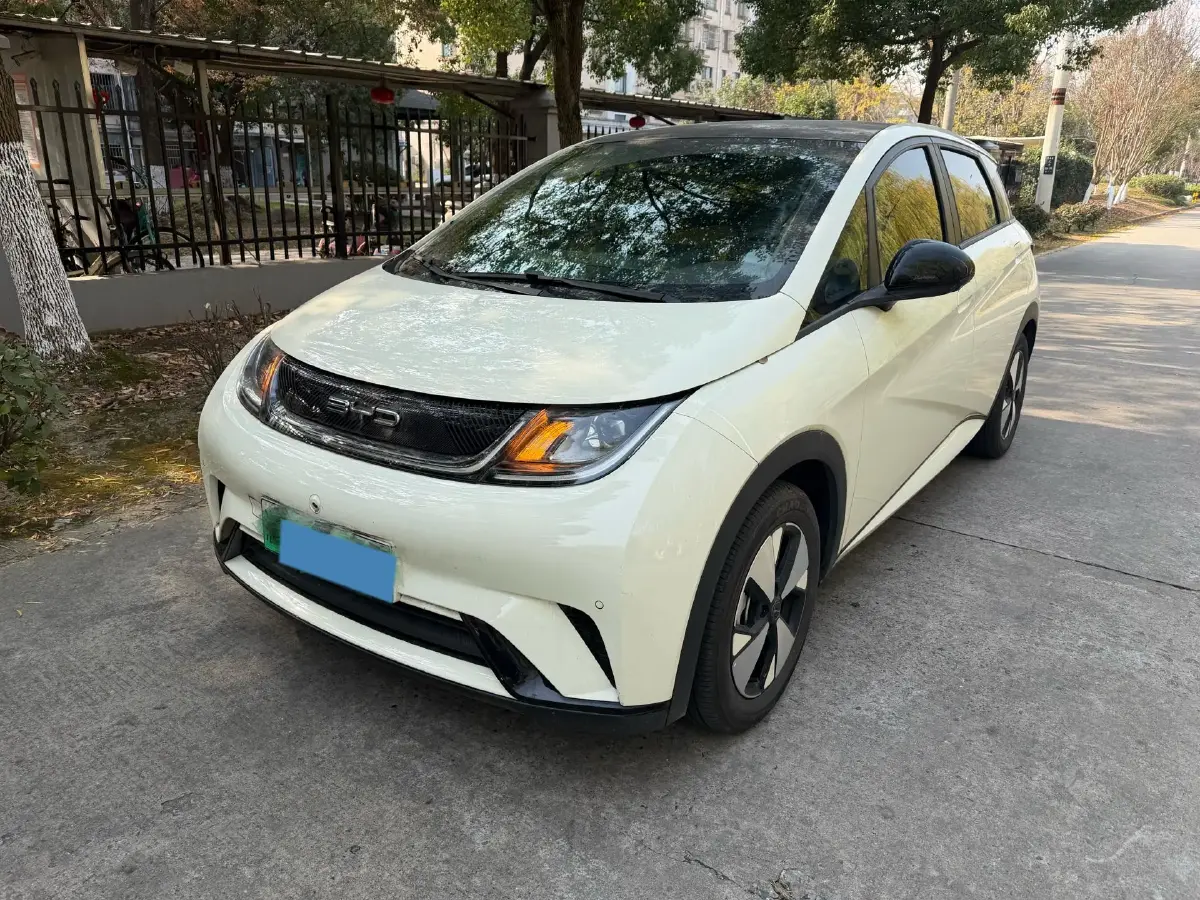 2023 BYD Dolphin BEV 44.928KWH
