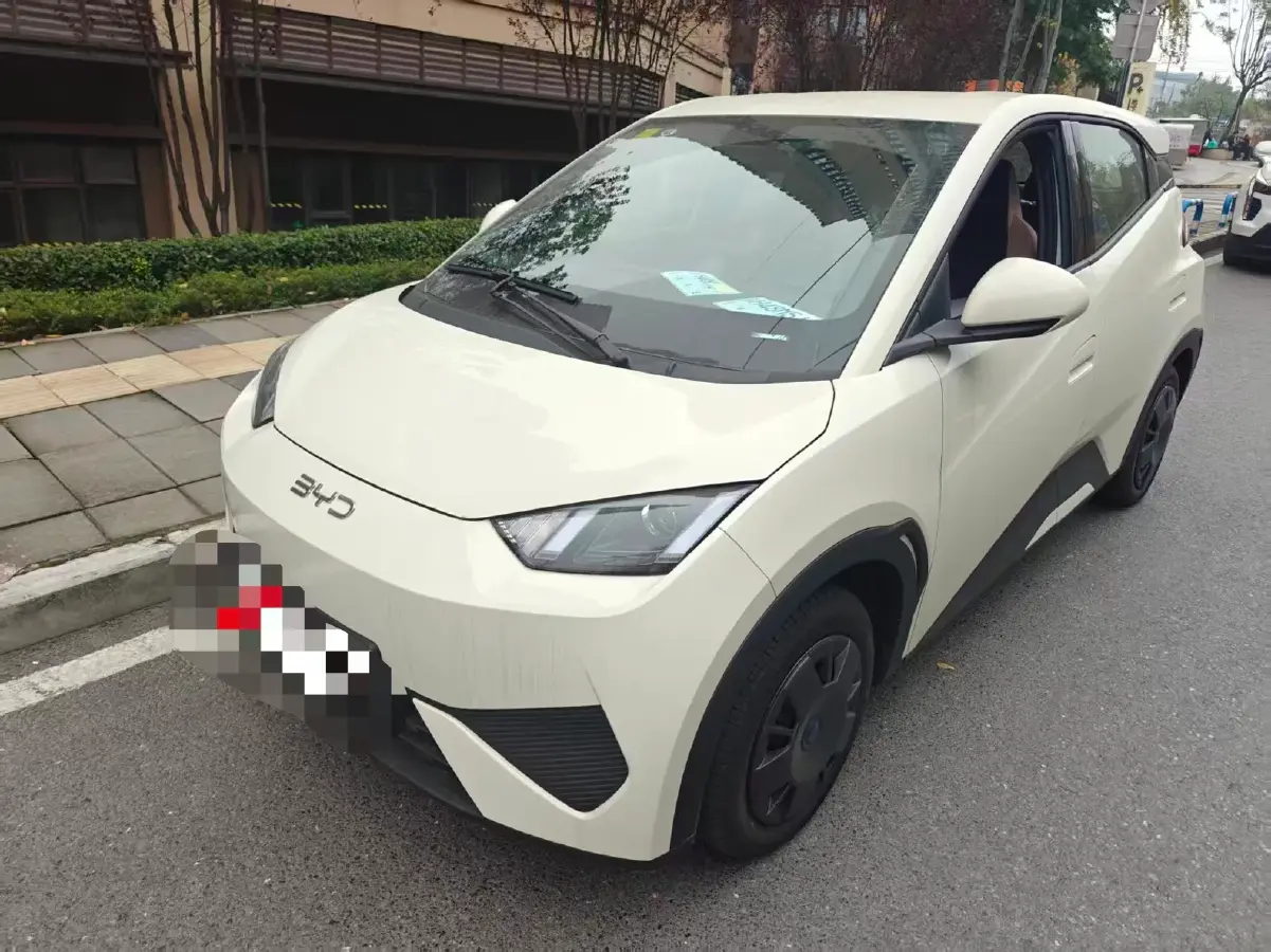 2025 BYD Seagull BEV 30.08KWH