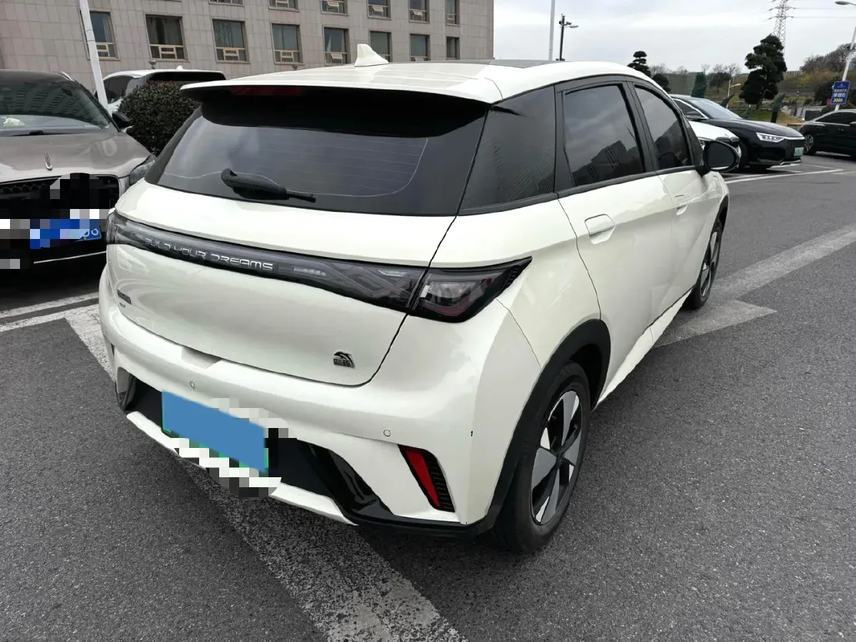 2023 BYD Dolphin BEV 44.928KWH,autocango,china used car exporter,china ev exporter,chinese used car exporter,chinese used ev exporter