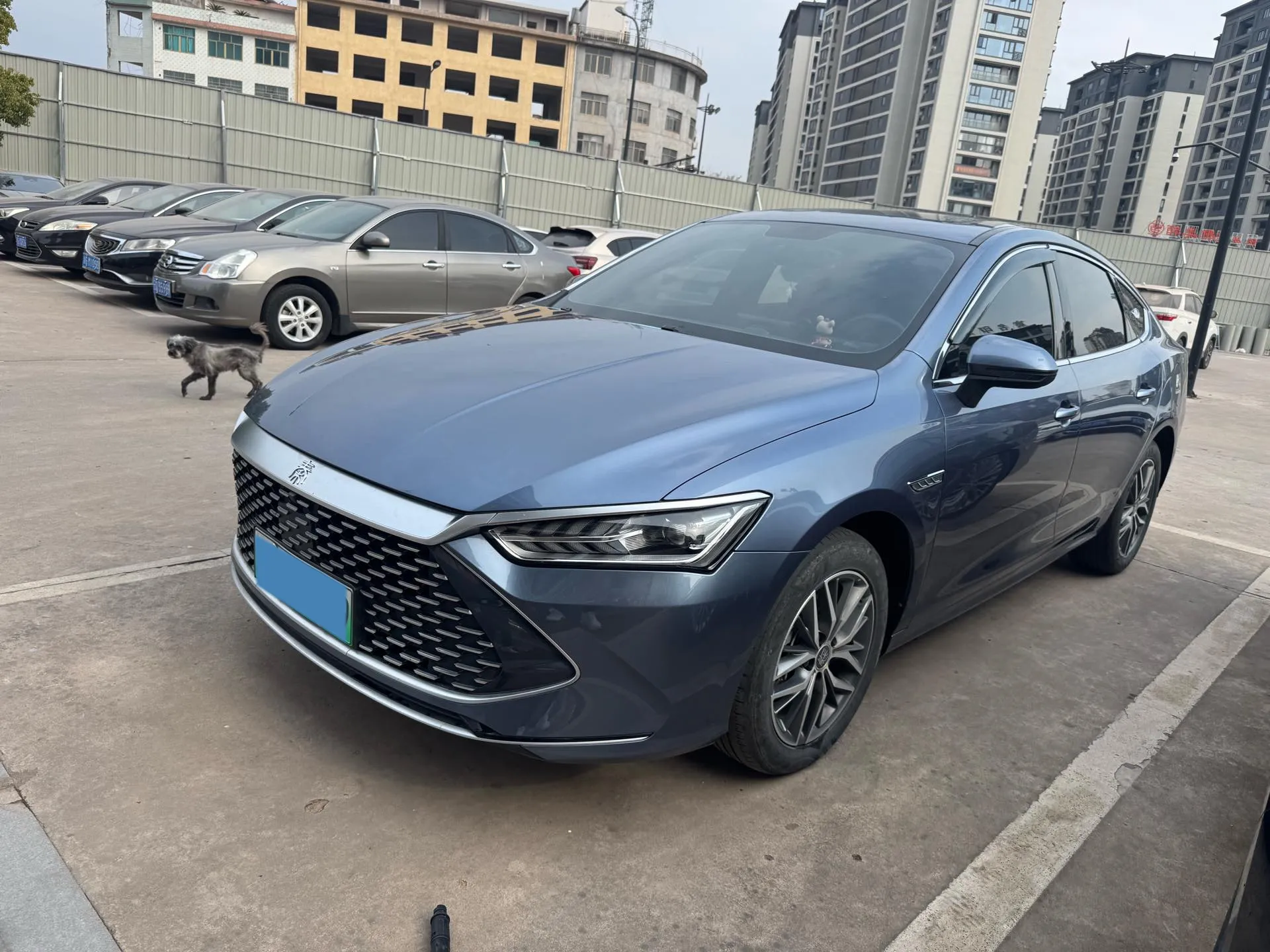 autocango,china used car exporter,china ev exporter,chinese used car exporter,chinese used ev exporter autocango,china used car exporter,china ev exporter,chinese used car exporter,chinese used ev exporter