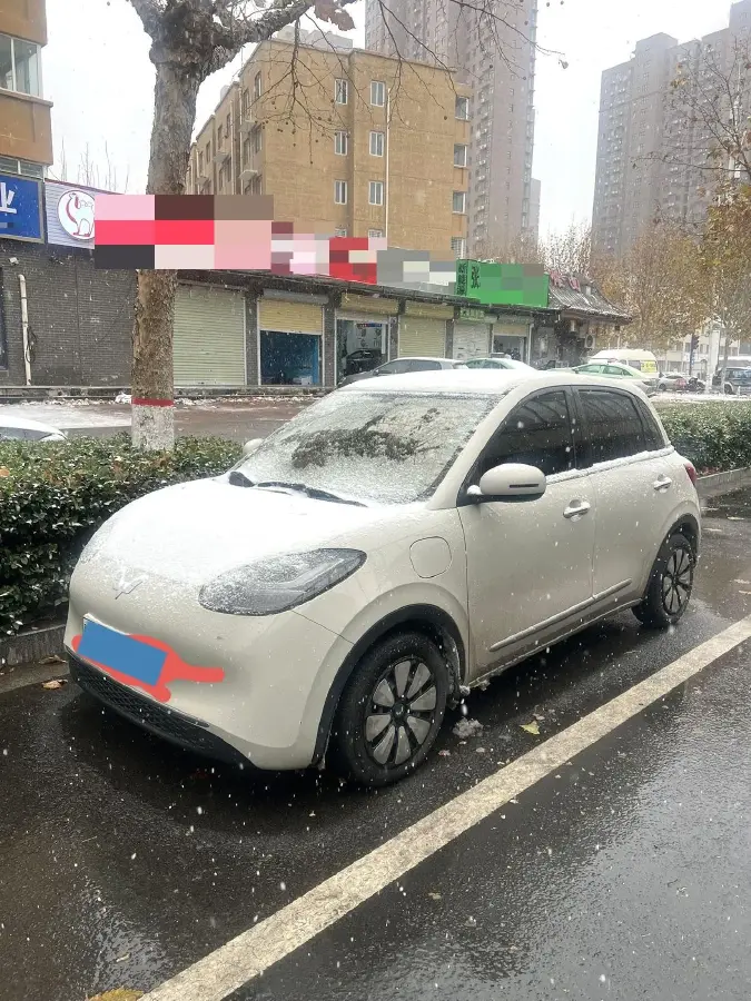 2024 WuLing BinGuo BEV 31.9KWH