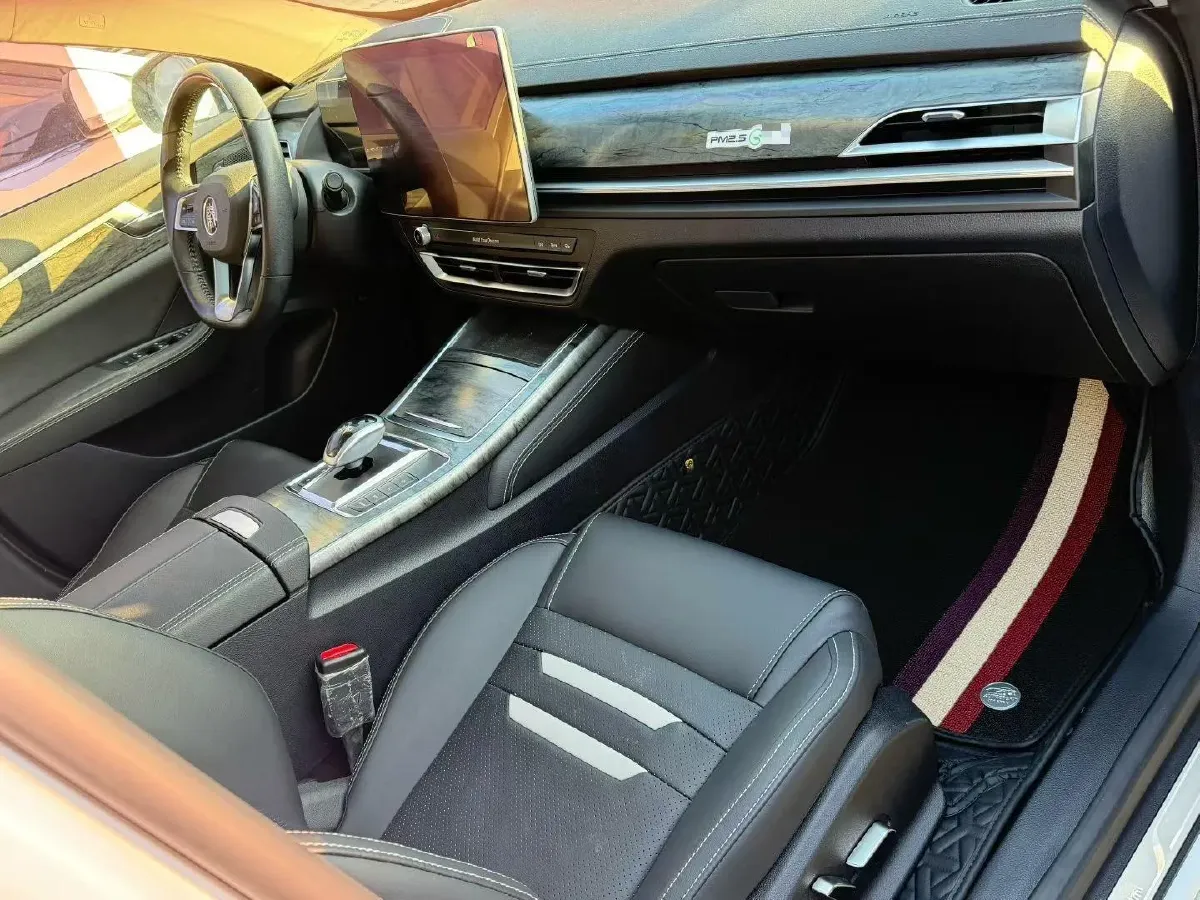 2019 BYD Qin Pro BEV 56.4KWH,autocango,china used car exporter,china ev exporter,chinese used car exporter,chinese used ev exporter