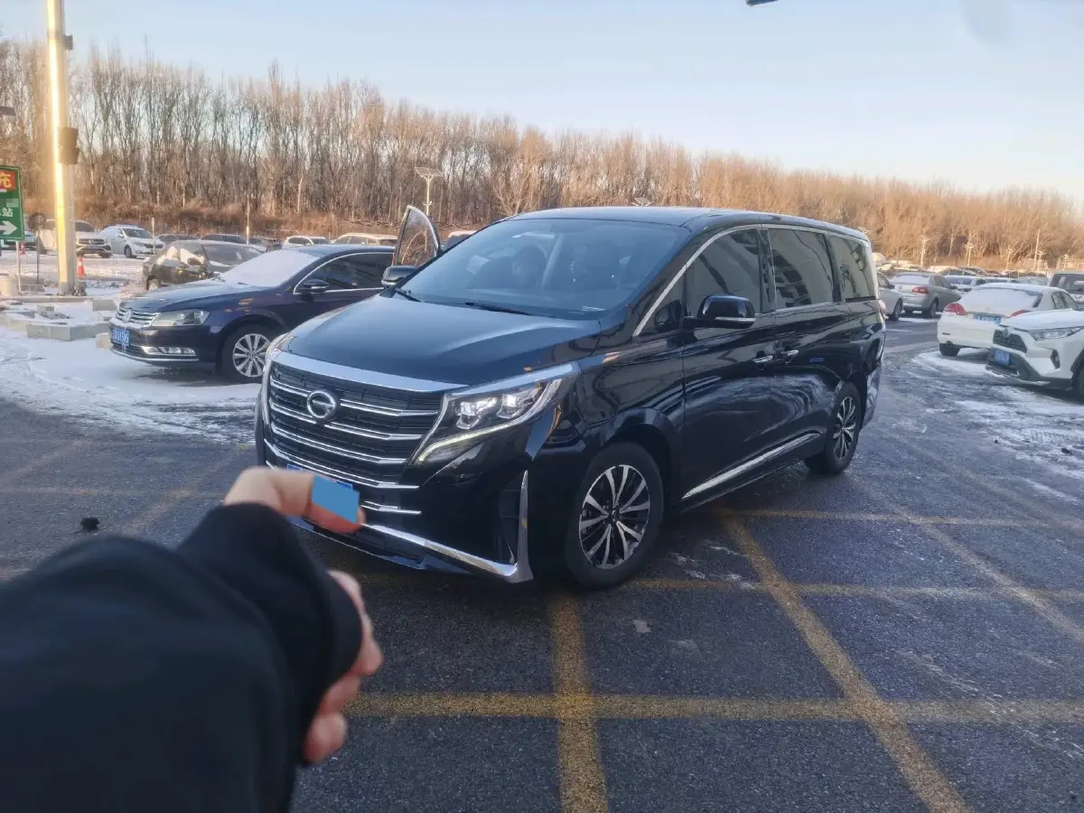 2021 GAC Trumpchi M8 2.0T 252HP L4 8AT 2021 GAC Trumpchi M8 2.0T 252HP L4 8AT