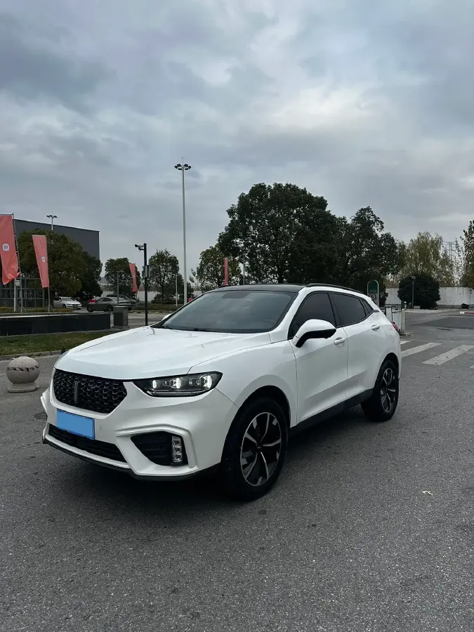 2020 WEY VV5 2.0T 227HP L4 7DCT 2020 WEY VV5 2.0T 227HP L4 7DCT