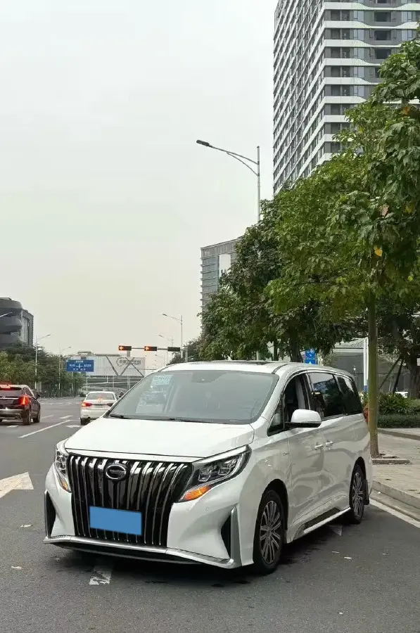 2021 GAC Trumpchi M8 2.0T 252HP L4 8AT