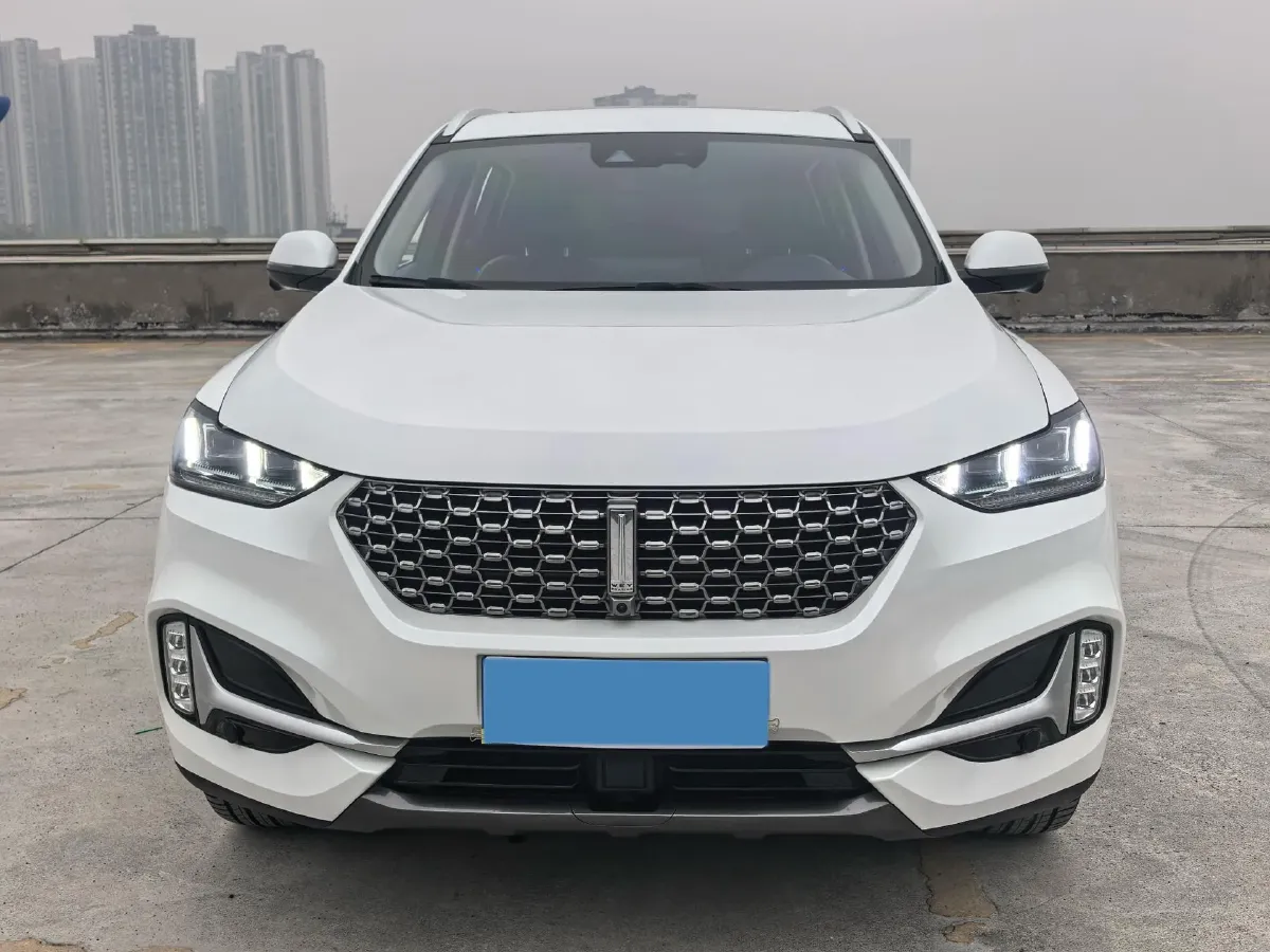 2021 WEY VV6 2.0T 227HP L4 7DCT,autocango,china used car exporter,china ev exporter,chinese used car exporter,chinese used ev exporter