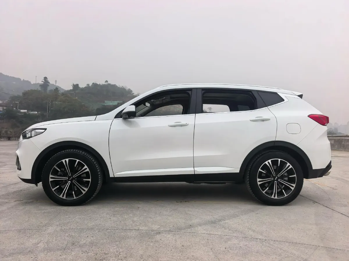 2021 WEY VV6 2.0T 227HP L4 7DCT,autocango,china used car exporter,china ev exporter,chinese used car exporter,chinese used ev exporter