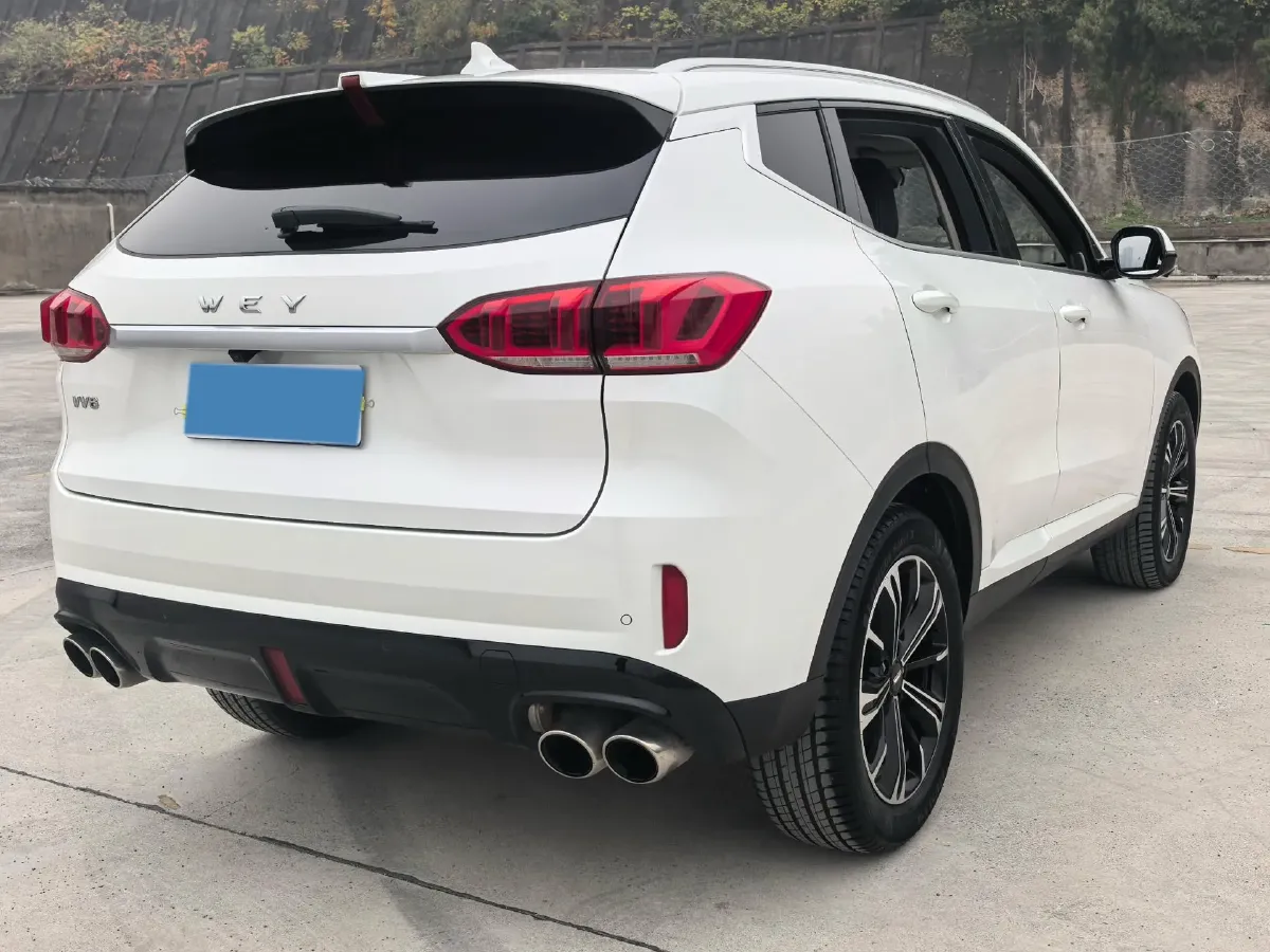 2021 WEY VV6 2.0T 227HP L4 7DCT,autocango,china used car exporter,china ev exporter,chinese used car exporter,chinese used ev exporter