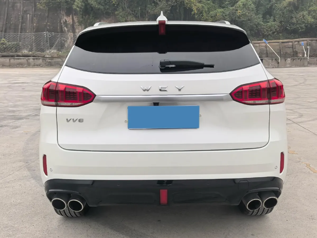 2021 WEY VV6 2.0T 227HP L4 7DCT,autocango,china used car exporter,china ev exporter,chinese used car exporter,chinese used ev exporter