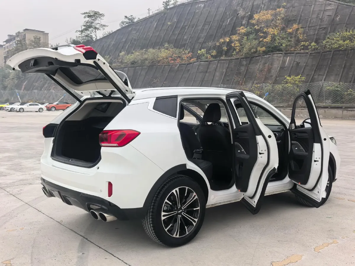 2021 WEY VV6 2.0T 227HP L4 7DCT,autocango,china used car exporter,china ev exporter,chinese used car exporter,chinese used ev exporter