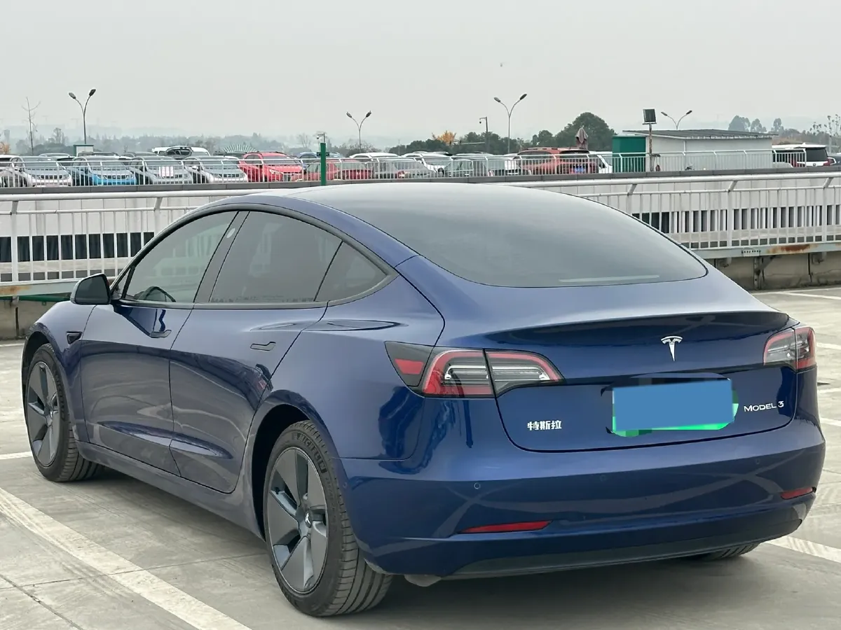 2021 Tesla Model 3 BEV 55KWH,autocango,china used car exporter,china ev exporter,chinese used car exporter,chinese used ev exporter