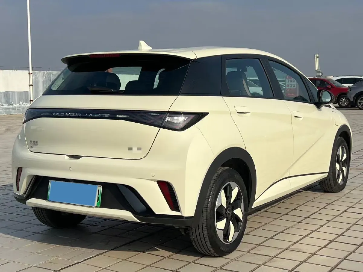 2025 BYD Dolphin BEV 44.928KWH,autocango,china used car exporter,china ev exporter,chinese used car exporter,chinese used ev exporter