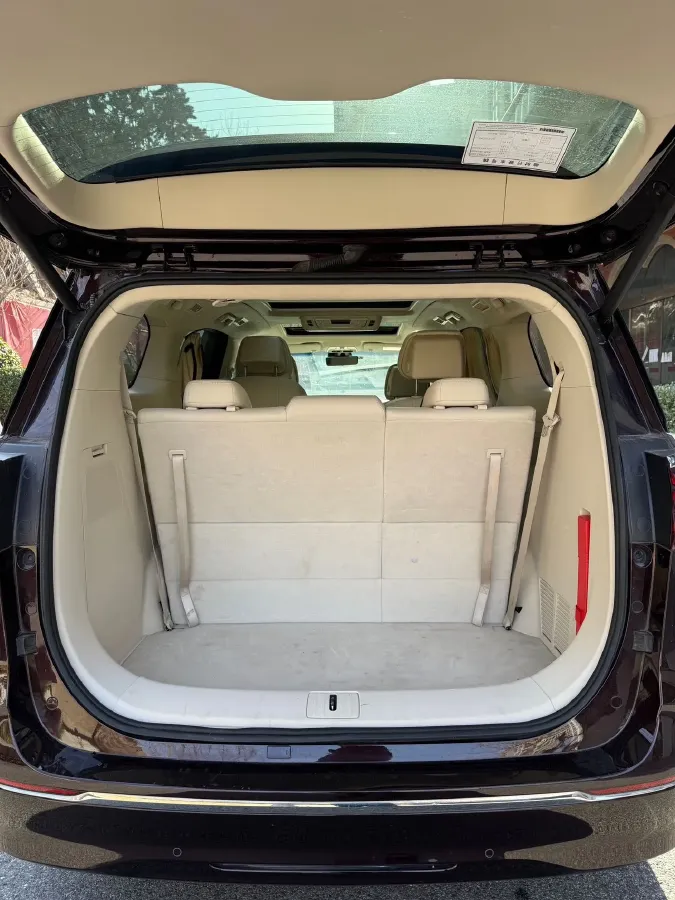 2020 Buick GL8 2.0T 237HP L4 9AT,autocango,china used car exporter,china ev exporter,chinese used car exporter,chinese used ev exporter