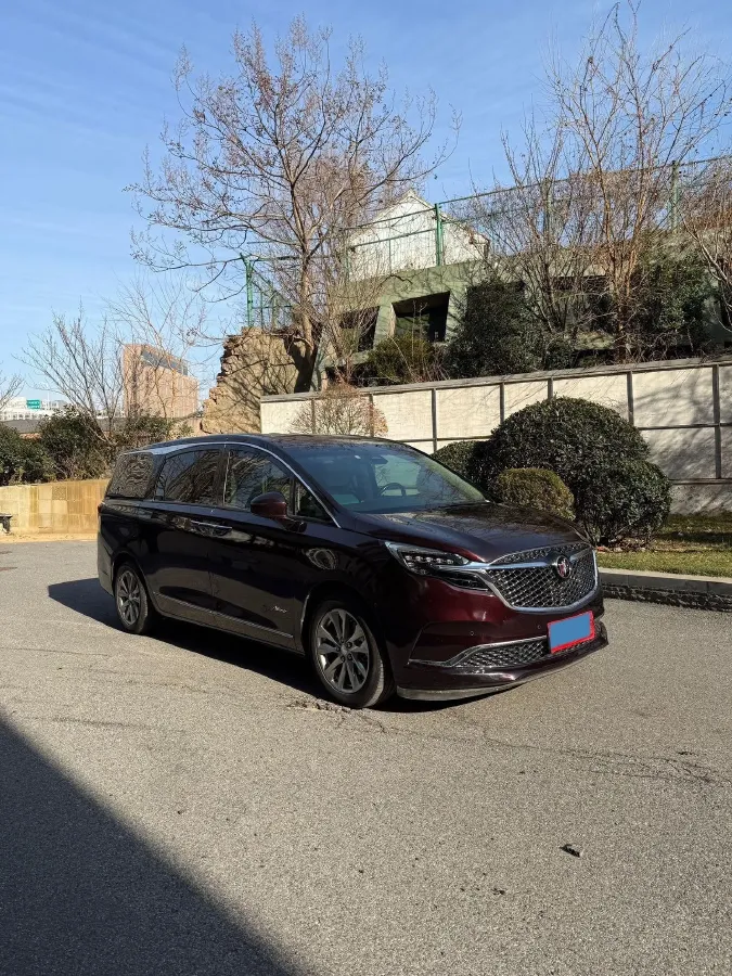 2020 Buick GL8 2.0T 237HP L4 9AT,autocango,china used car exporter,china ev exporter,chinese used car exporter,chinese used ev exporter