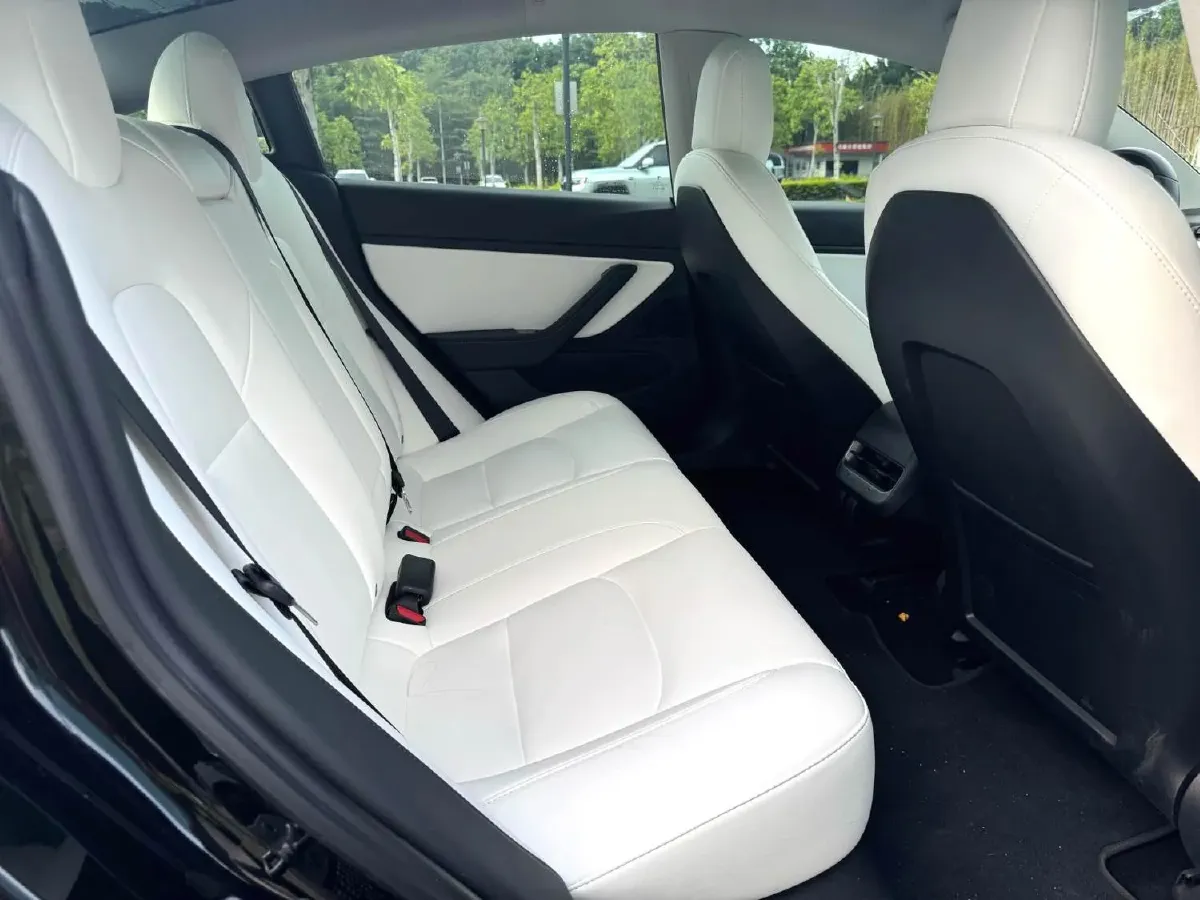 2020 Tesla Model 3 BEV 52KWH,autocango,china used car exporter,china ev exporter,chinese used car exporter,chinese used ev exporter