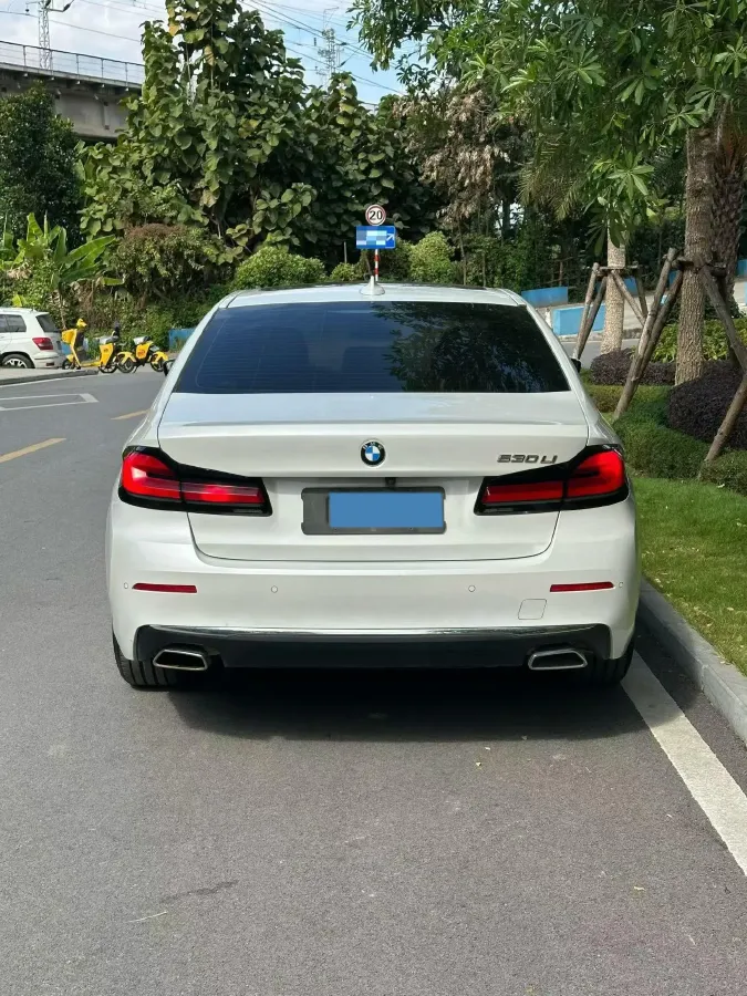 2021 BMW 5 Series 2.0T 252HP L4 8AT,autocango,china used car exporter,china ev exporter,chinese used car exporter,chinese used ev exporter