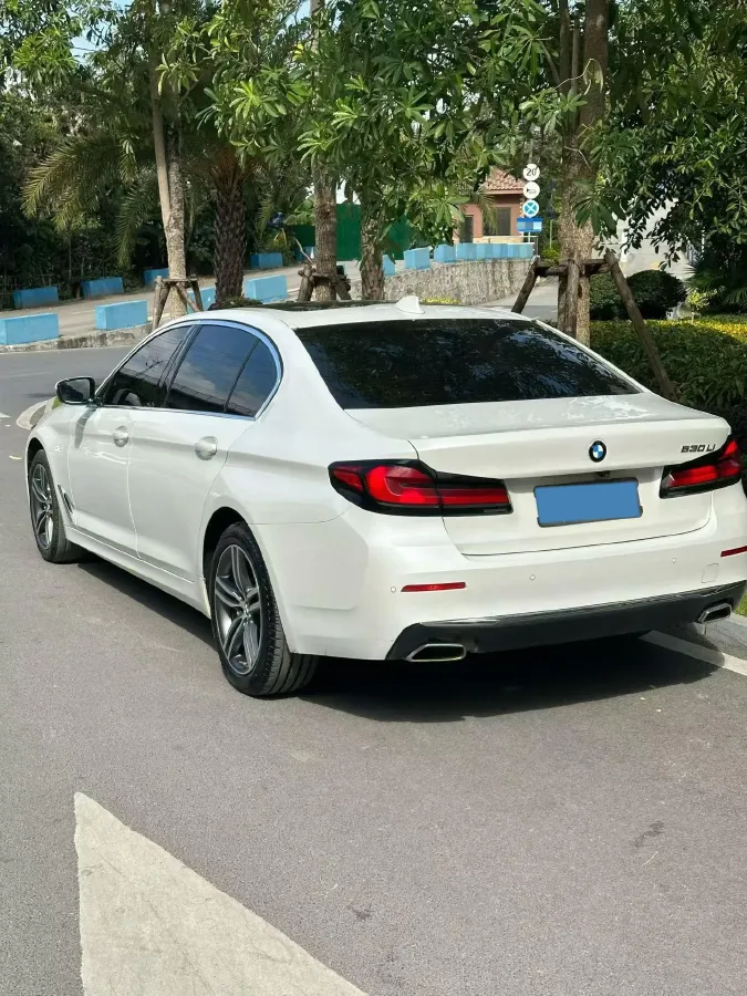 2021 BMW 5 Series 2.0T 252HP L4 8AT,autocango,china used car exporter,china ev exporter,chinese used car exporter,chinese used ev exporter