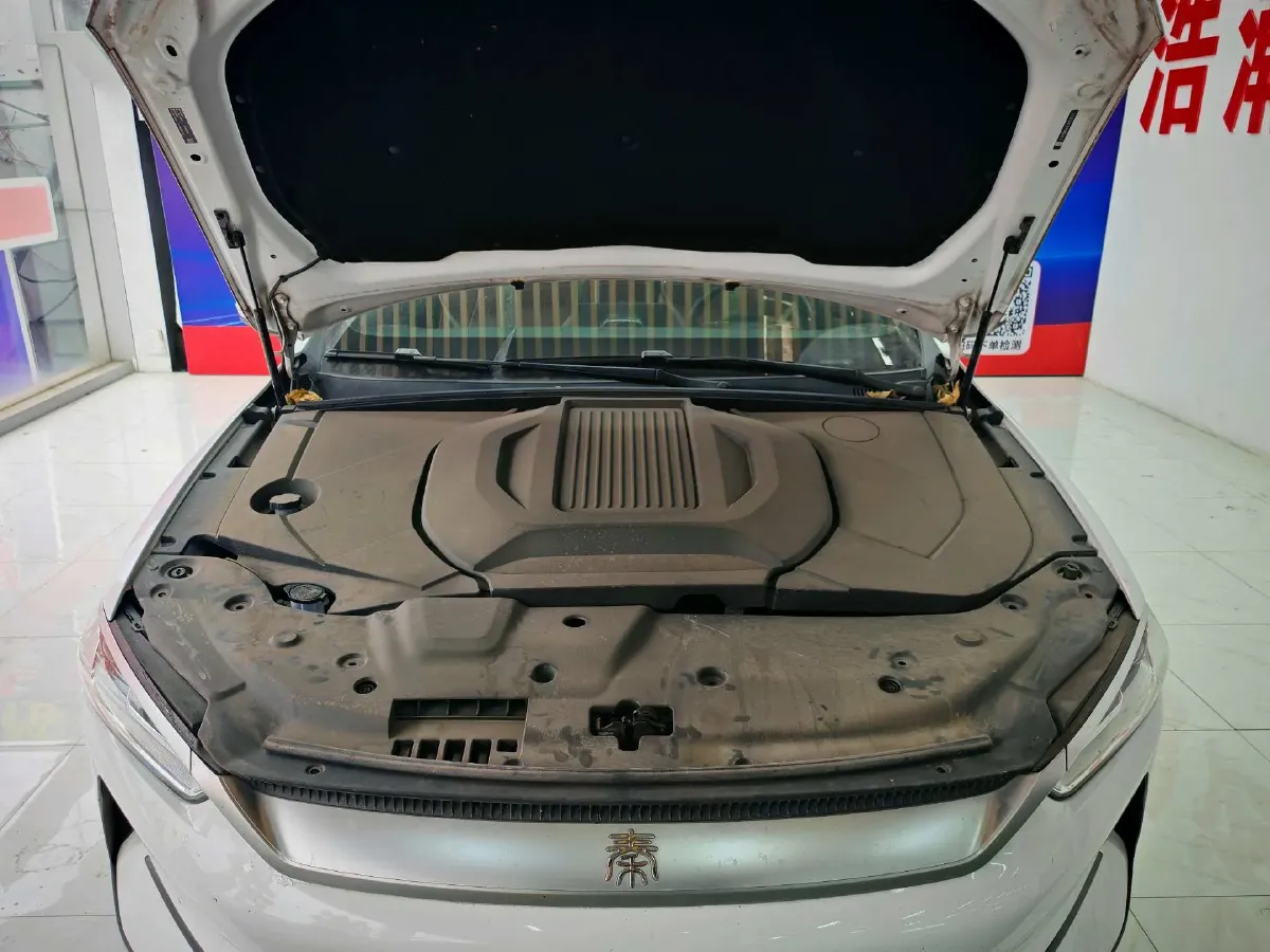 2021 DongFeng FuKang e Elysee BEV 30.7KWH,autocango,china used car exporter,china ev exporter,chinese used car exporter,chinese used ev exporter