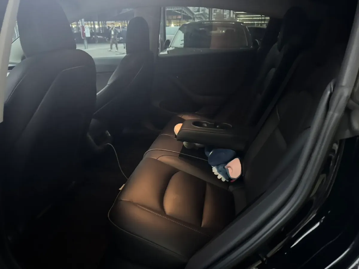 2022 Tesla Model 3 BEV 60KWH,autocango,china used car exporter,china ev exporter,chinese used car exporter,chinese used ev exporter