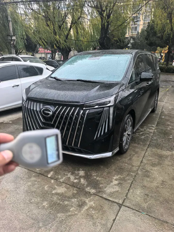 2024 GAC Trumpchi M8 2.0T 252HP L4 8AT