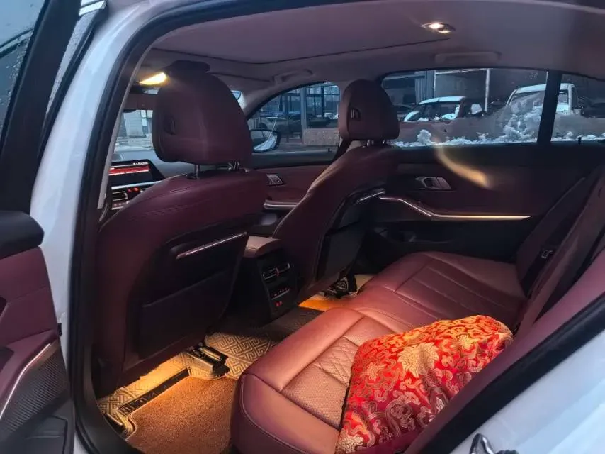 2022 BMW 3 Series 2.0T 184HP L4 8AT,autocango,china used car exporter,china ev exporter,chinese used car exporter,chinese used ev exporter