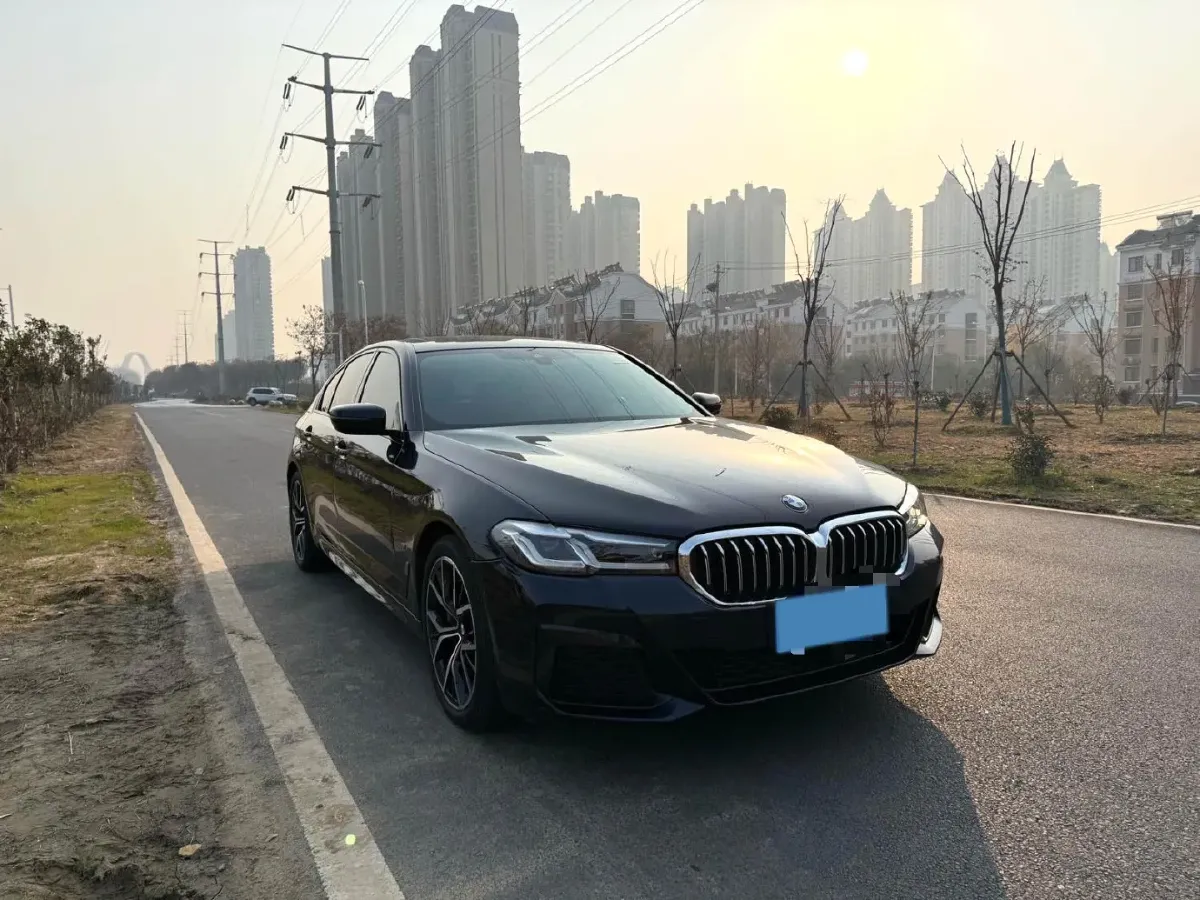 2021 BMW 5 Series 2.0T 252HP L4 8AT,autocango,china used car exporter,china ev exporter,chinese used car exporter,chinese used ev exporter