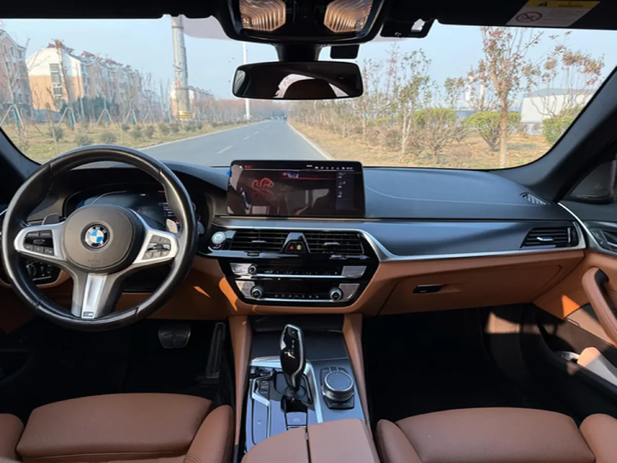 2021 BMW 5 Series 2.0T 252HP L4 8AT,autocango,china used car exporter,china ev exporter,chinese used car exporter,chinese used ev exporter