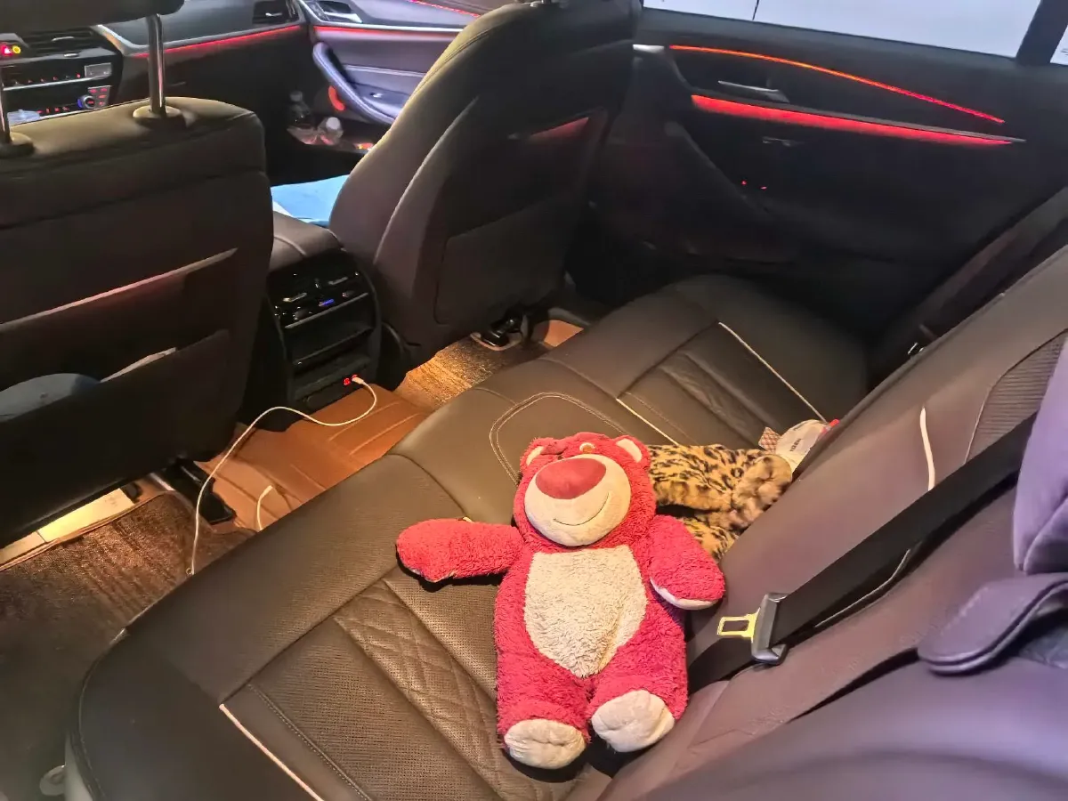 2021 BMW 5 Series 2.0T 252HP L4 8AT,autocango,china used car exporter,china ev exporter,chinese used car exporter,chinese used ev exporter