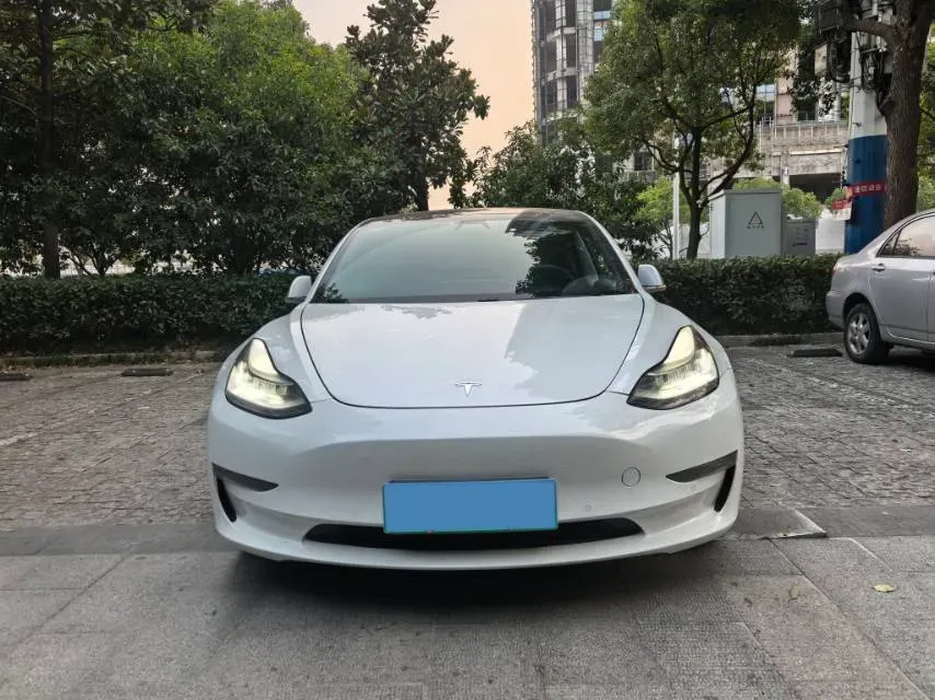 2019 Tesla Model 3 BEV 81KWH,autocango,china used car exporter,china ev exporter,chinese used car exporter,chinese used ev exporter