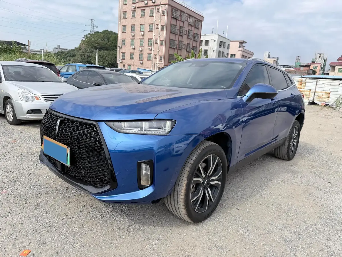 2018 WEY P8 2.0T 234HP L4 6DCT PHEV 12.96KWH