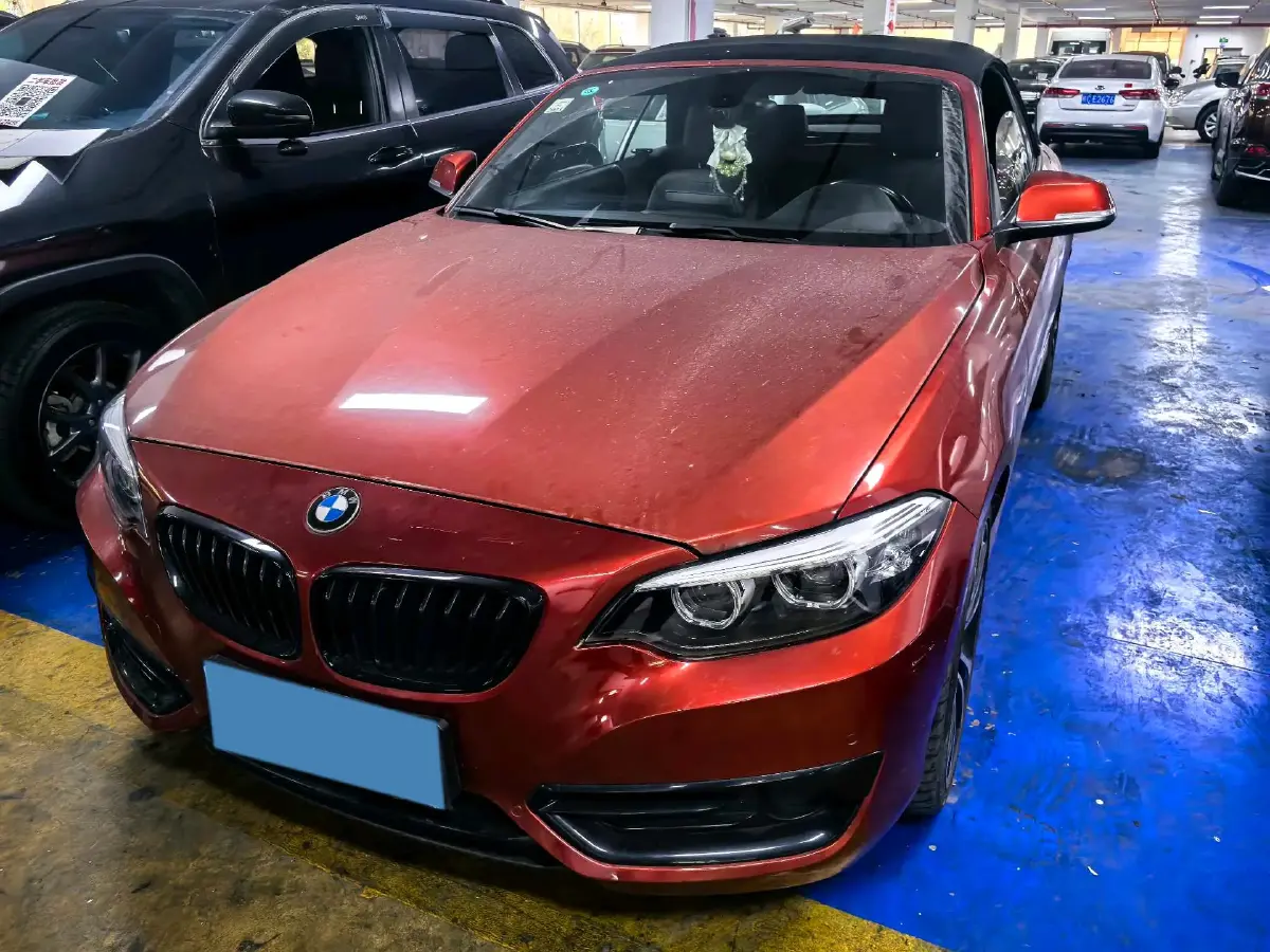 2019 BMW 2 Series 2.0T 184HP L4 8AT