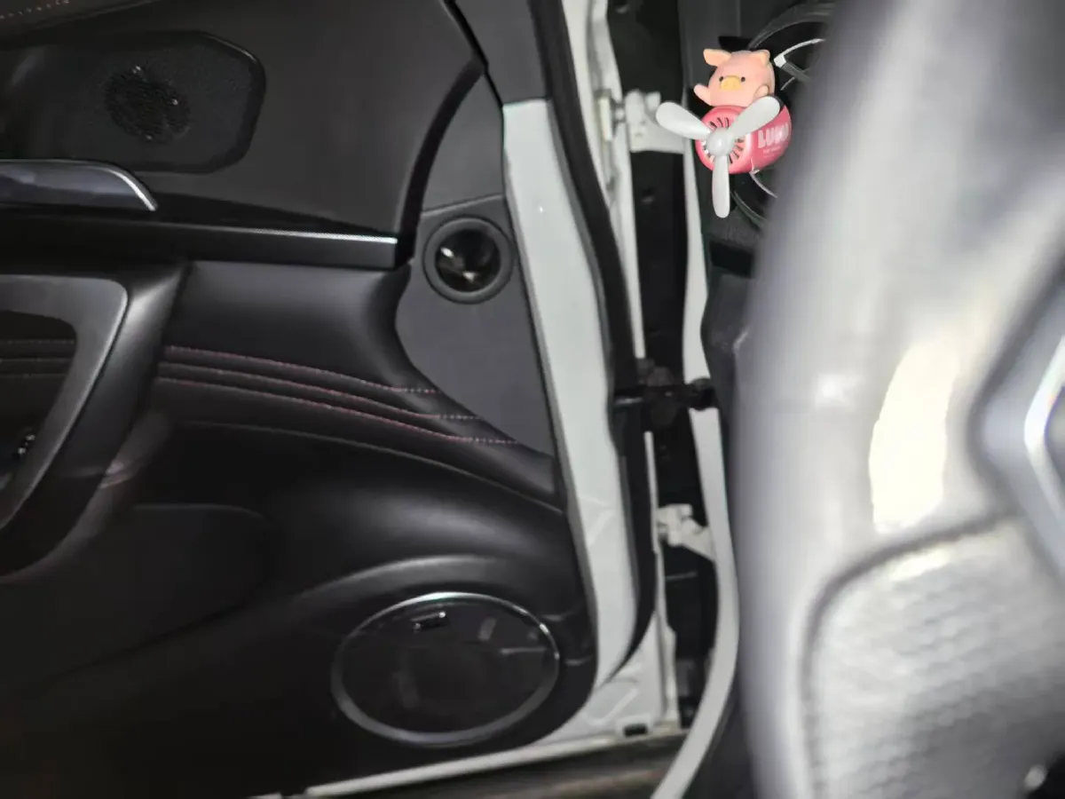 2017 WEY VV7 2.0T 234HP L4 7DCT,autocango,china used car exporter,china ev exporter,chinese used car exporter,chinese used ev exporter