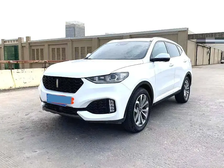 2018 WEY VV6 2.0T 197HP L4 7DCT