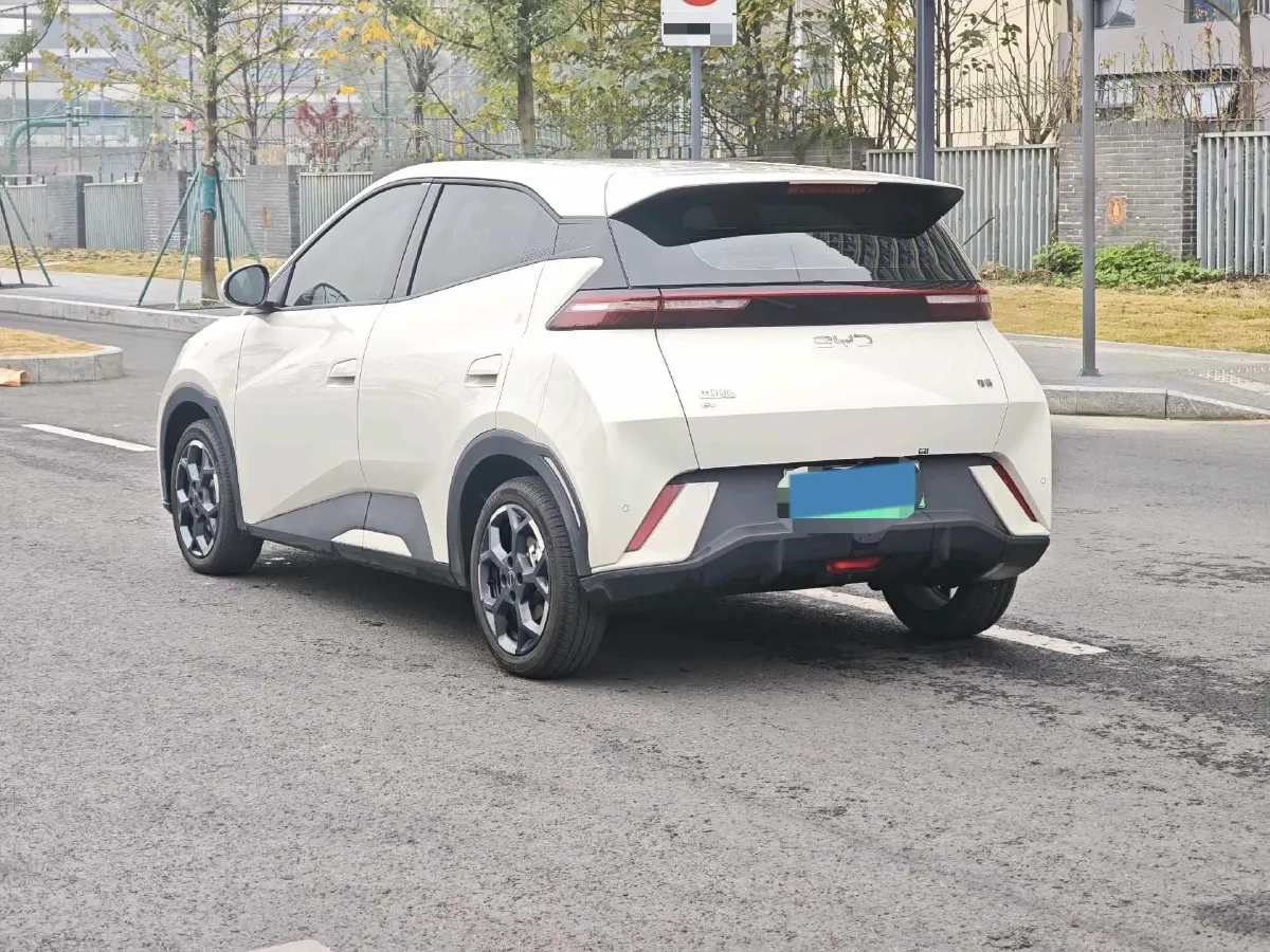 2025 BYD Seagull BEV 30.08KWH,autocango,china used car exporter,china ev exporter,chinese used car exporter,chinese used ev exporter