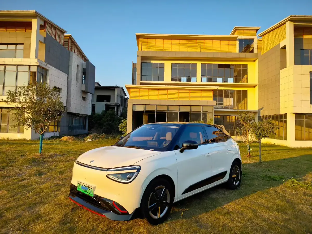 2024 DongFeng Nammi 01 BEV 42.3KWH