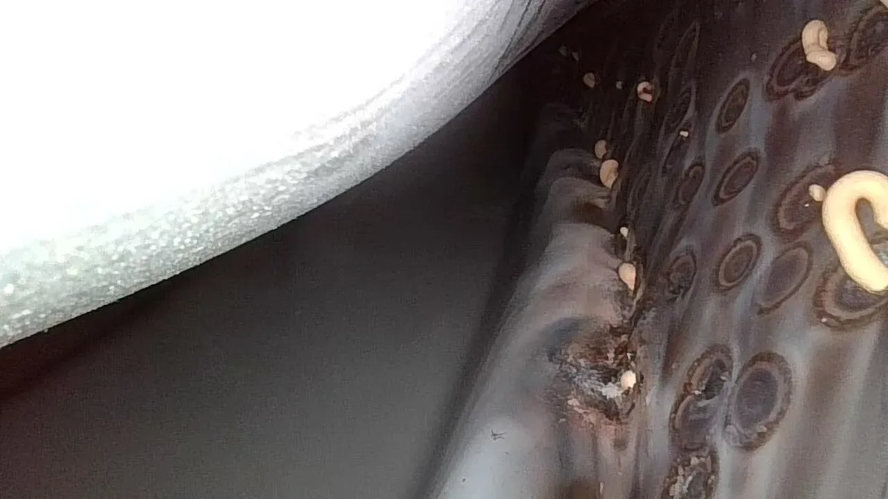 2020 Toyota Yaris L 1.5L 110HP L4 CVT,autocango,china used car exporter,china ev exporter,chinese used car exporter,chinese used ev exporter