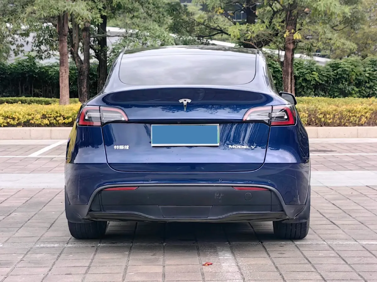 2021 Tesla Model 3 BEV 76.8KWH,autocango,china used car exporter,china ev exporter,chinese used car exporter,chinese used ev exporter