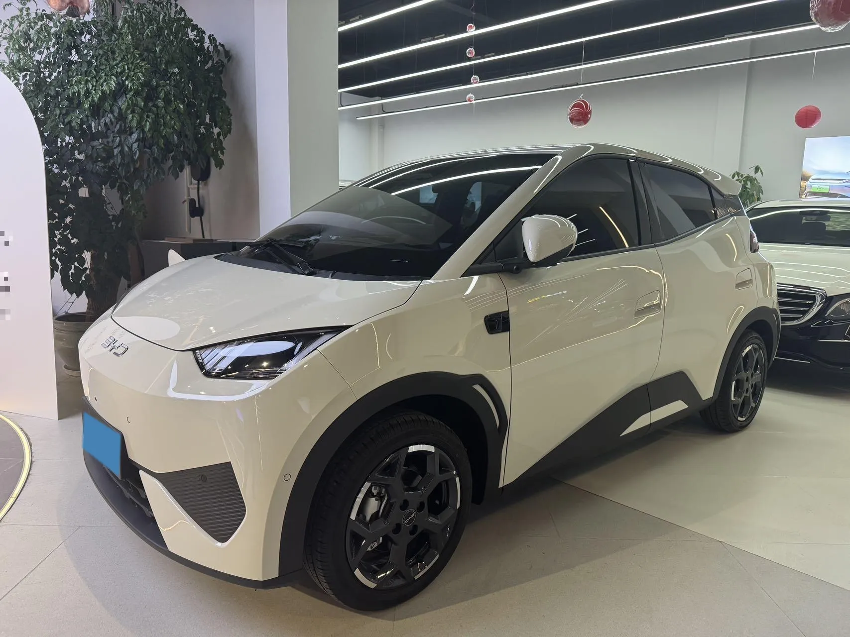 autocango,china used car exporter,china ev exporter,chinese used car exporter,chinese used ev exporter autocango,china used car exporter,china ev exporter,chinese used car exporter,chinese used ev exporter