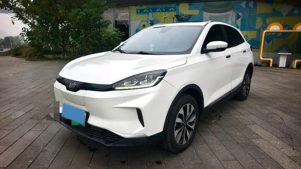 2018 Weltmeister EX5 BEV 52.56KWH
