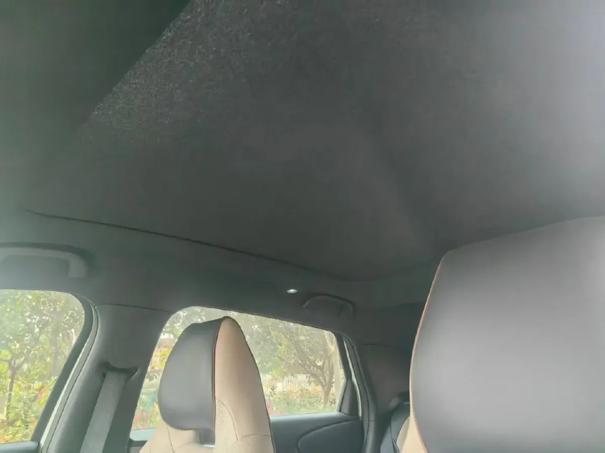 2023 BYD Dolphin BEV 44.928KWH,autocango,china used car exporter,china ev exporter,chinese used car exporter,chinese used ev exporter