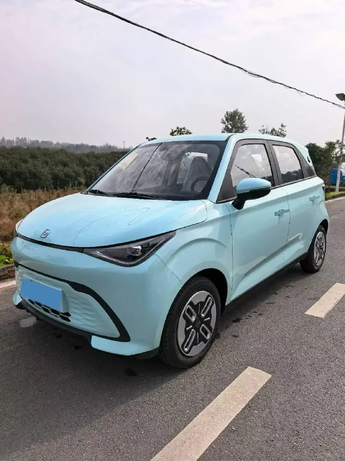 2025 Chery Duomi BEV,autocango,china used car exporter,china ev exporter,chinese used car exporter,chinese used ev exporter