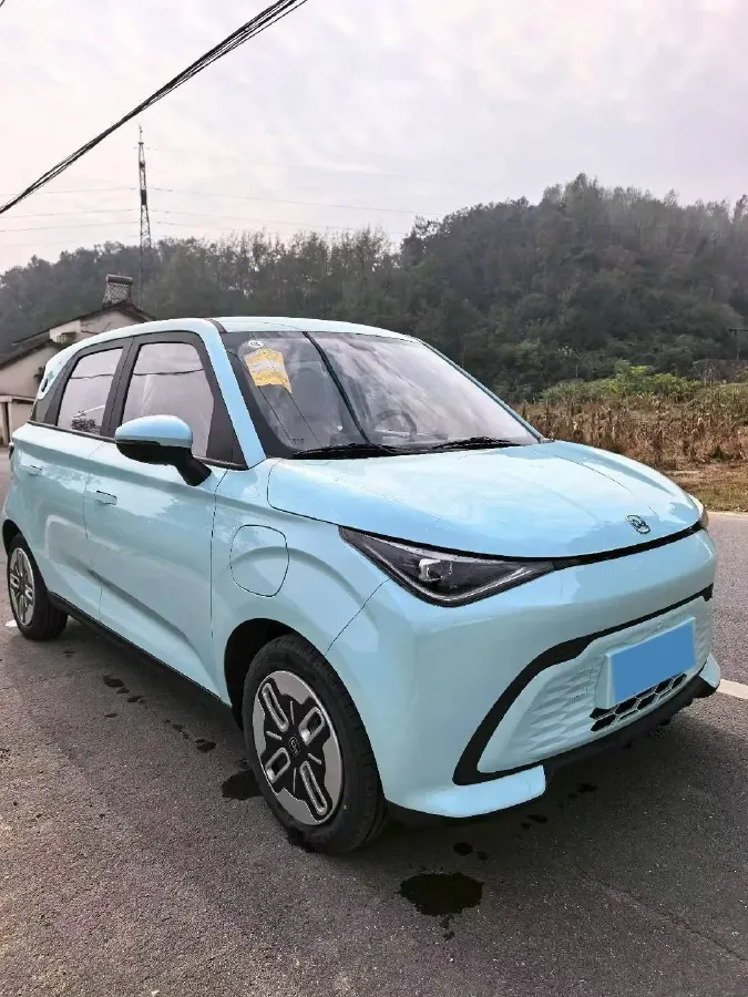 2025 Chery Duomi BEV,autocango,china used car exporter,china ev exporter,chinese used car exporter,chinese used ev exporter