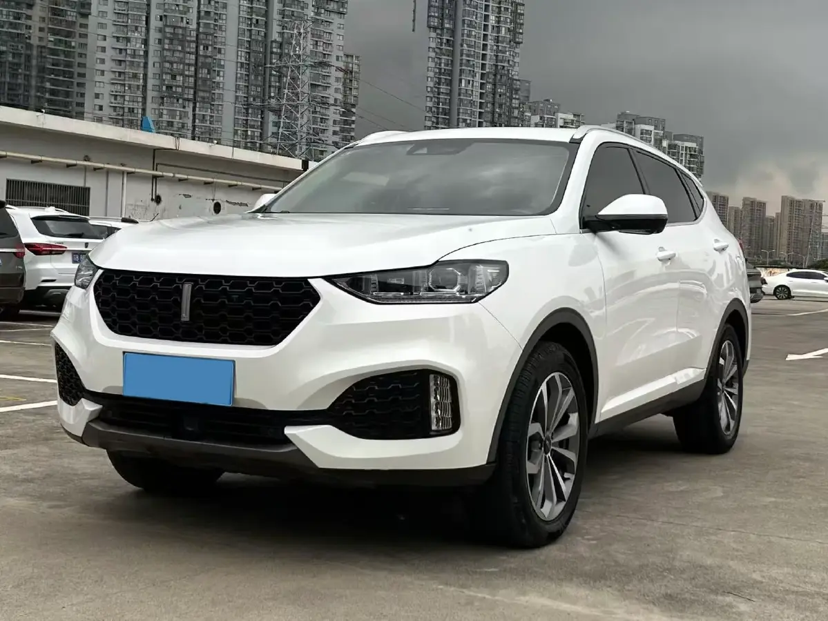 2018 WEY VV6 2.0T 197HP L4 7DCT