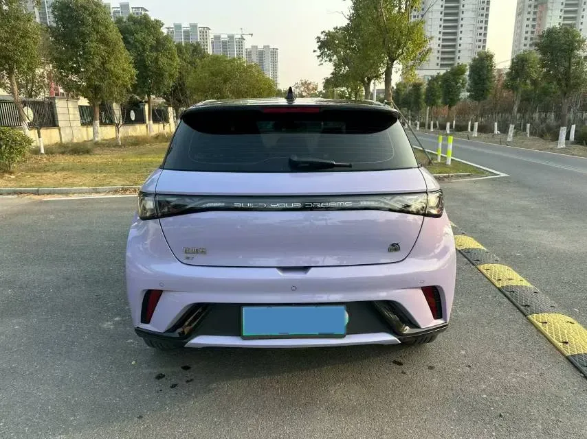 2023 BYD Dolphin BEV 44.928KWH,autocango,china used car exporter,china ev exporter,chinese used car exporter,chinese used ev exporter