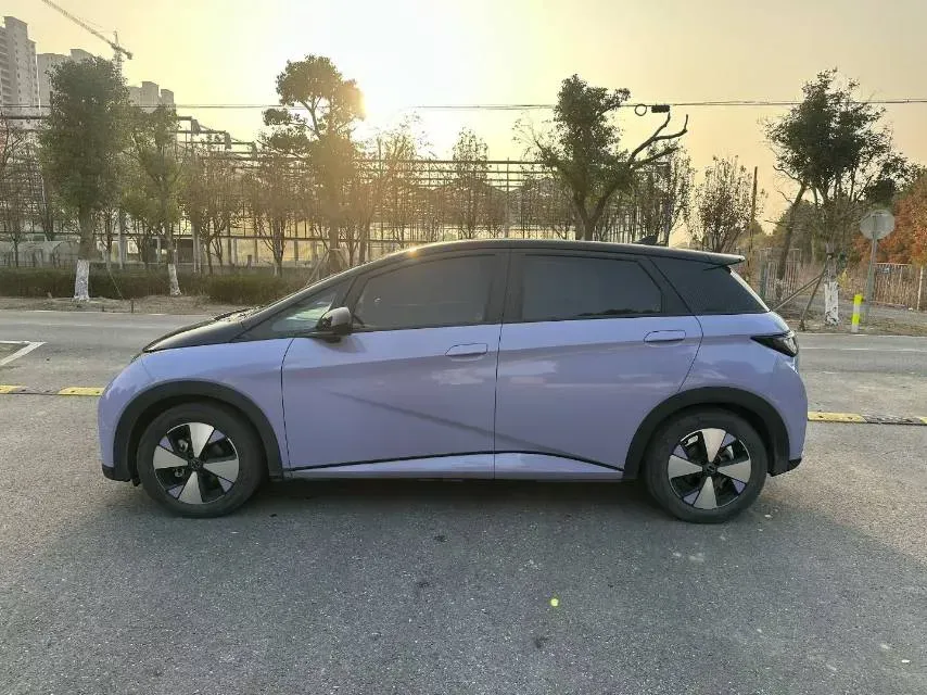 2023 BYD Dolphin BEV 44.928KWH,autocango,china used car exporter,china ev exporter,chinese used car exporter,chinese used ev exporter
