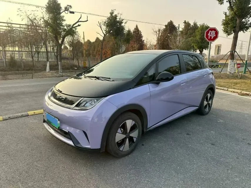 2023 BYD Dolphin BEV 44.928KWH,autocango,china used car exporter,china ev exporter,chinese used car exporter,chinese used ev exporter