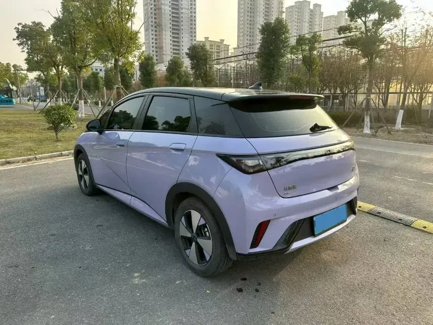 2023 BYD Dolphin BEV 44.928KWH,autocango,china used car exporter,china ev exporter,chinese used car exporter,chinese used ev exporter