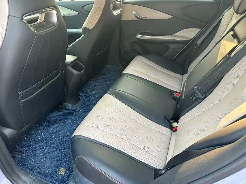 2023 BYD Dolphin BEV 44.928KWH,autocango,china used car exporter,china ev exporter,chinese used car exporter,chinese used ev exporter