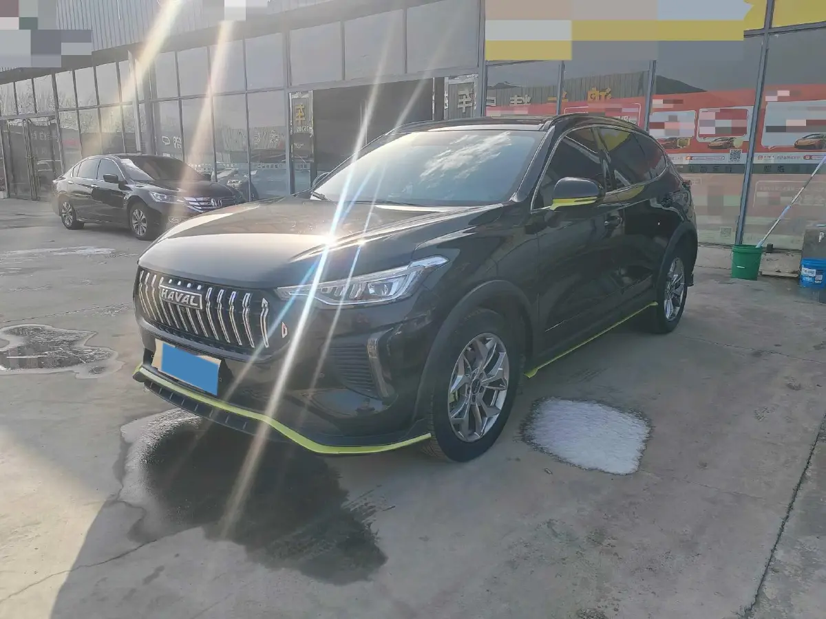 2022 Haval Rabbit 1.5T 150HP L4 7DCT