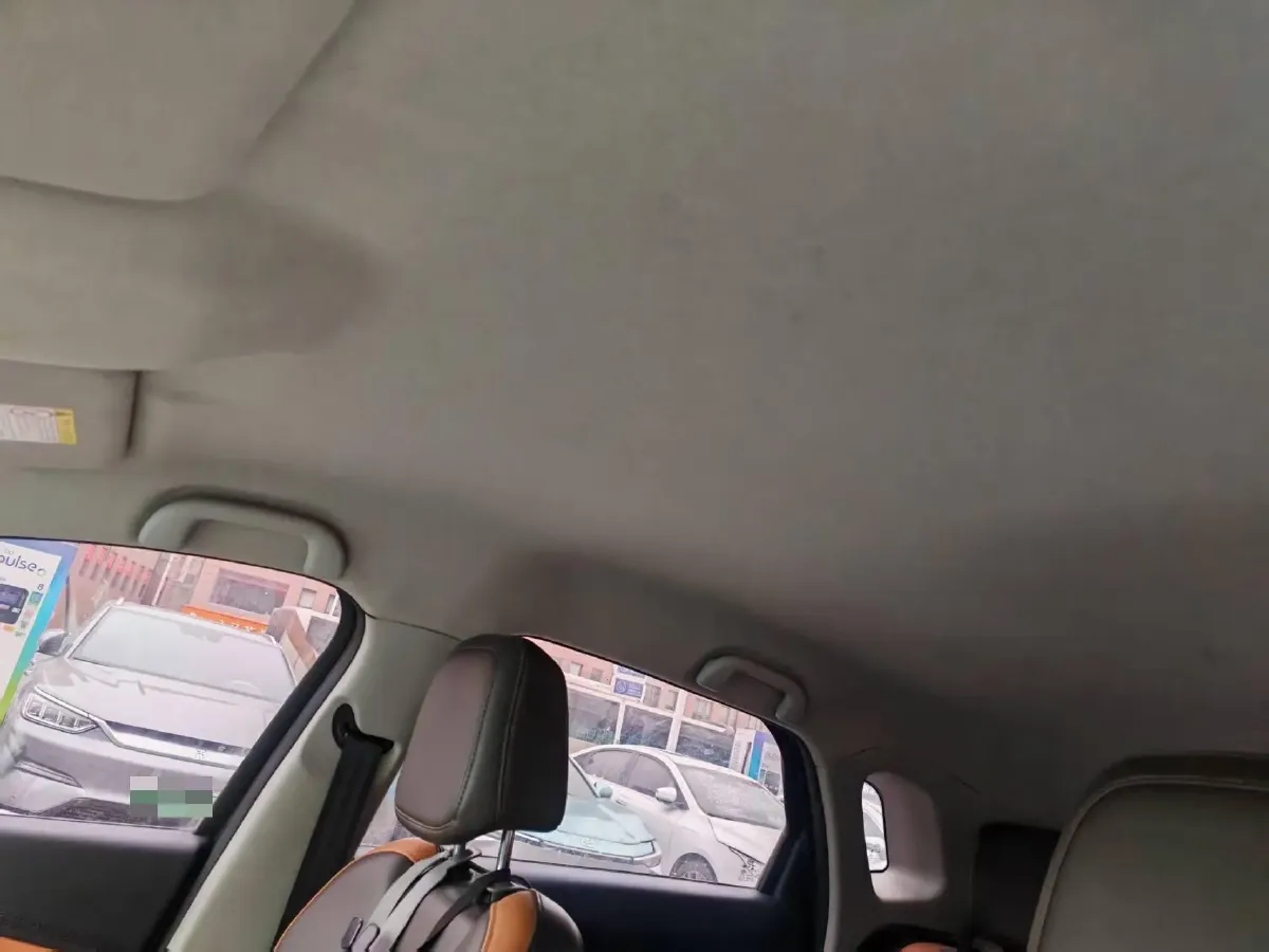 2019 BYD e2 BEV 47.3KWH,autocango,china used car exporter,china ev exporter,chinese used car exporter,chinese used ev exporter